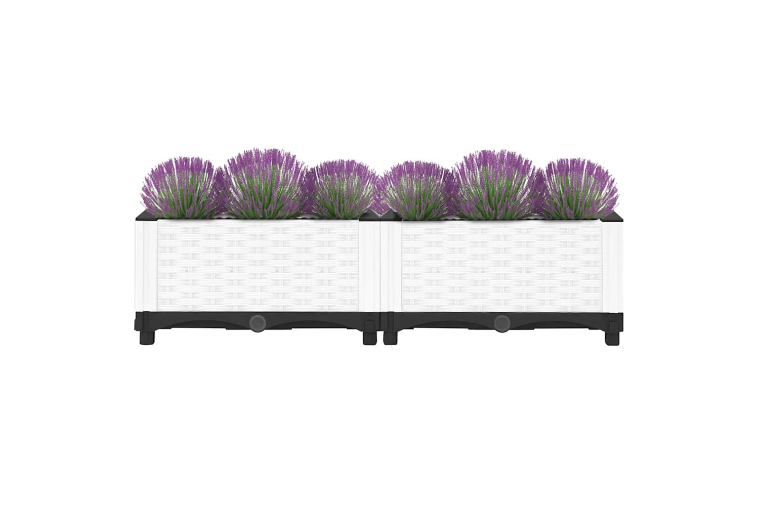 vidaXL Raised Bed 80x40x23cm Polypropylene-3