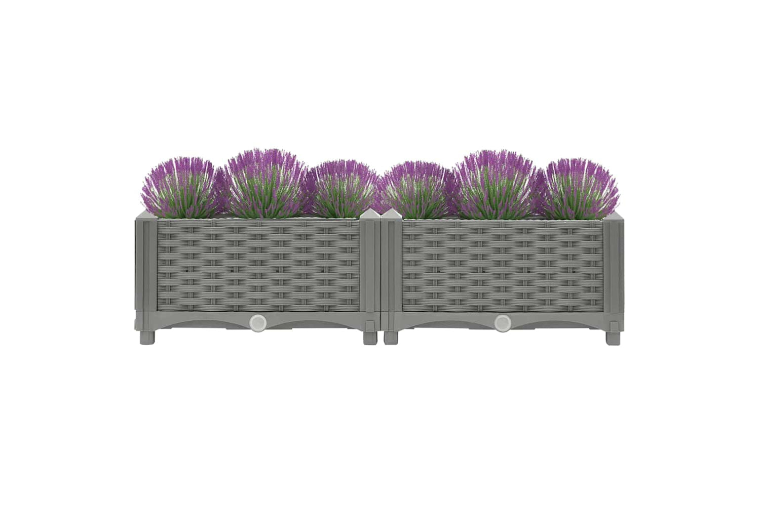 vidaXL Raised Bed 80x40x23cm Polypropylene-3