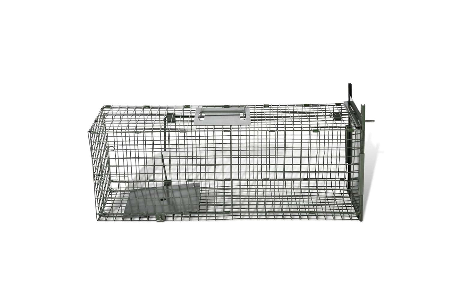Vidaxl Life Trap With 1 Door-4