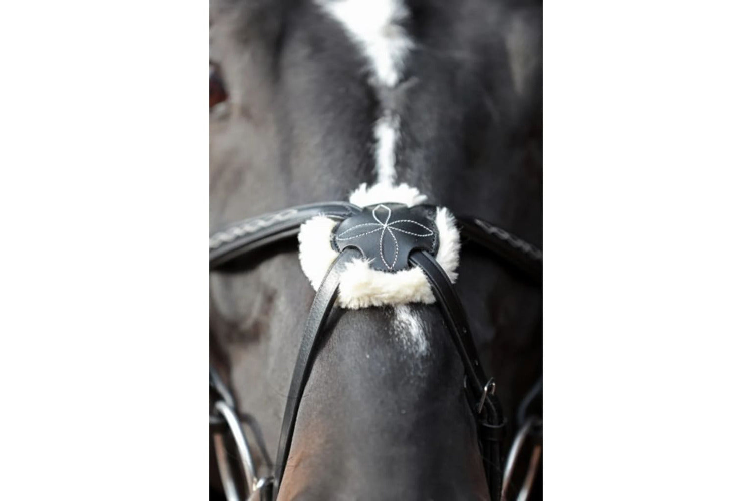Covalliero Bridle Cancun Pony Black-5