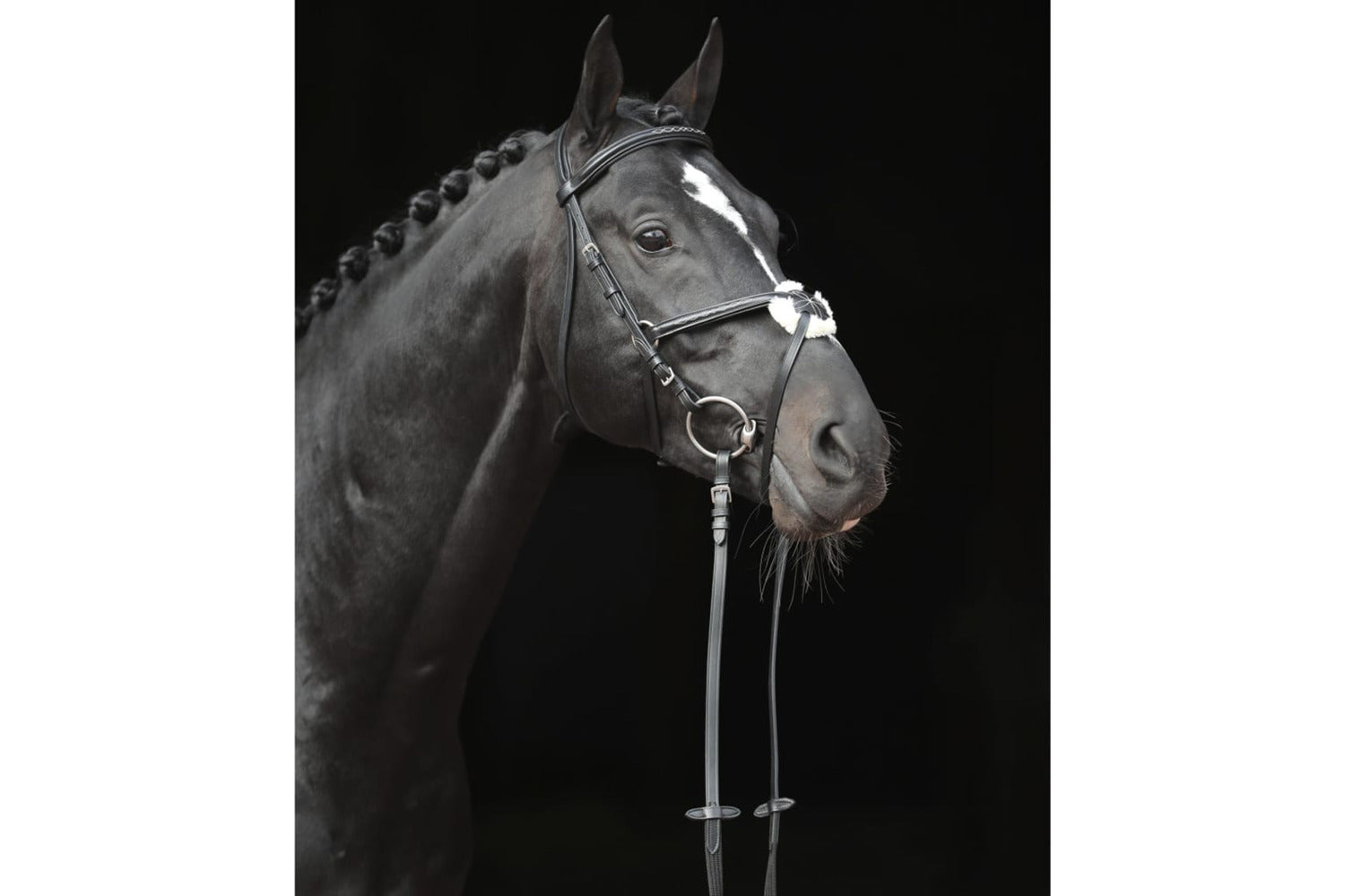 Covalliero Bridle Cancun Pony Black-3