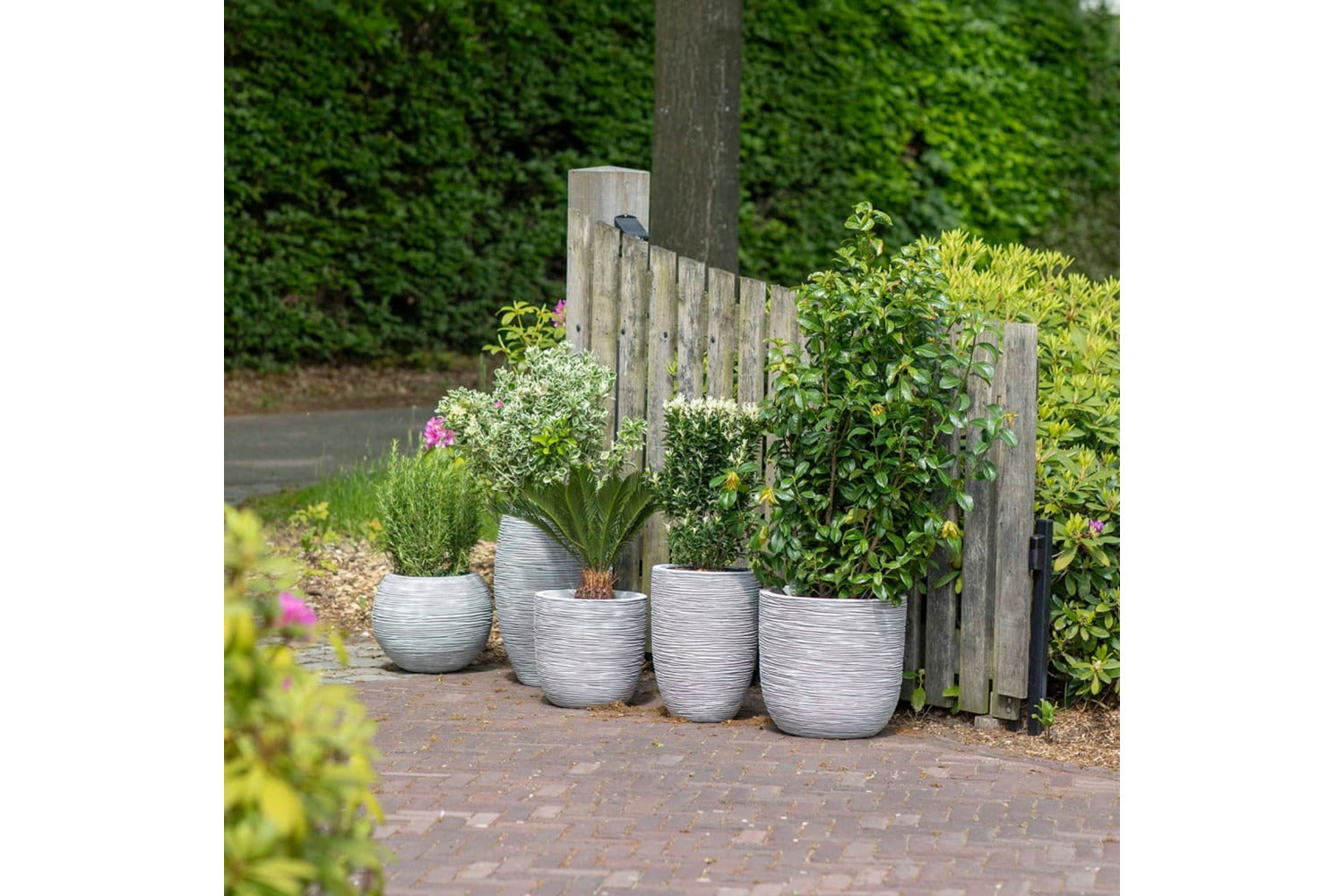 Capi 424239 Egg Planter Nature Rib 35x34 Cm Ivory Kofi932-8