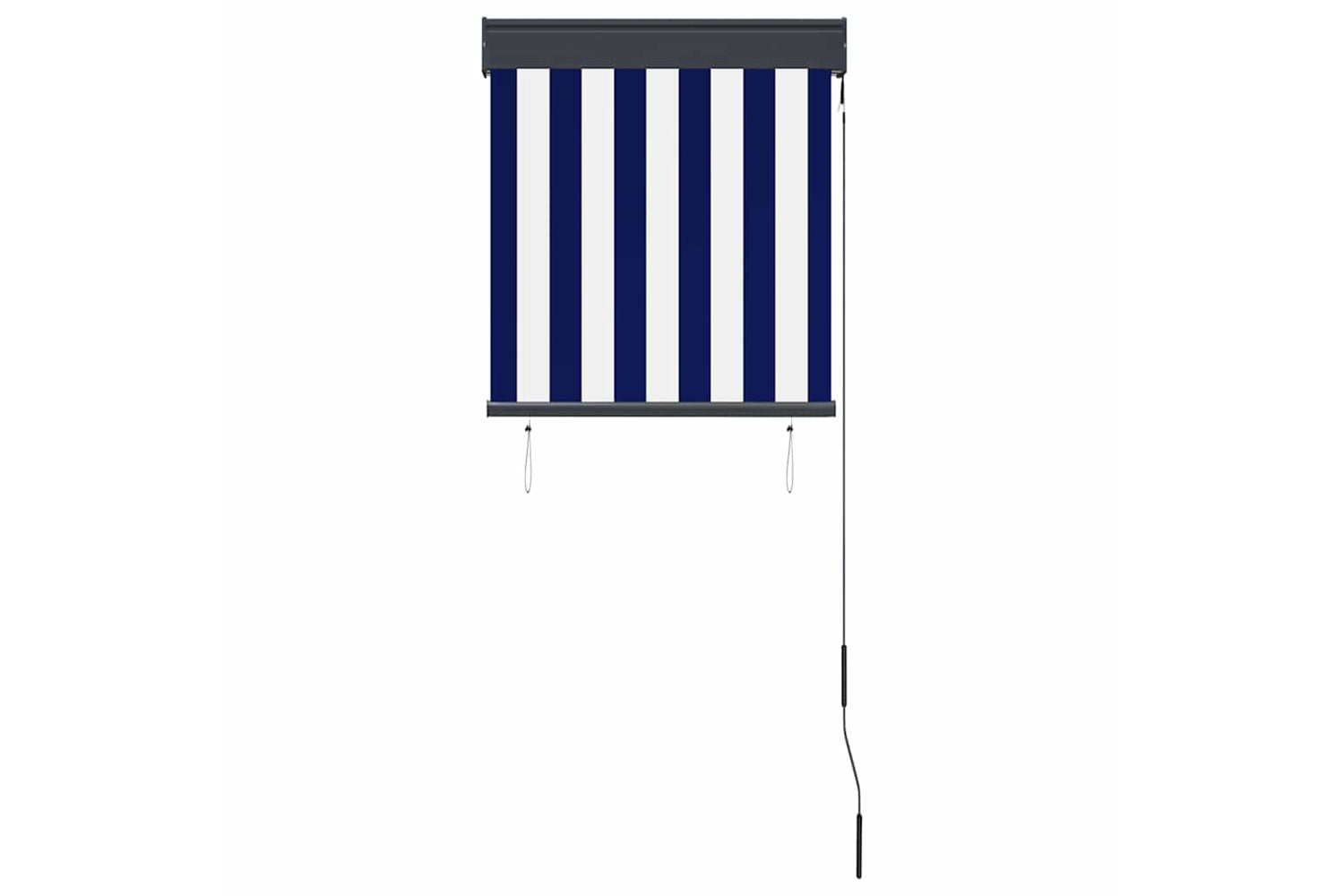 vidaXL 145943 Outdoor Roller Blind 60x250cm Blue And White-3