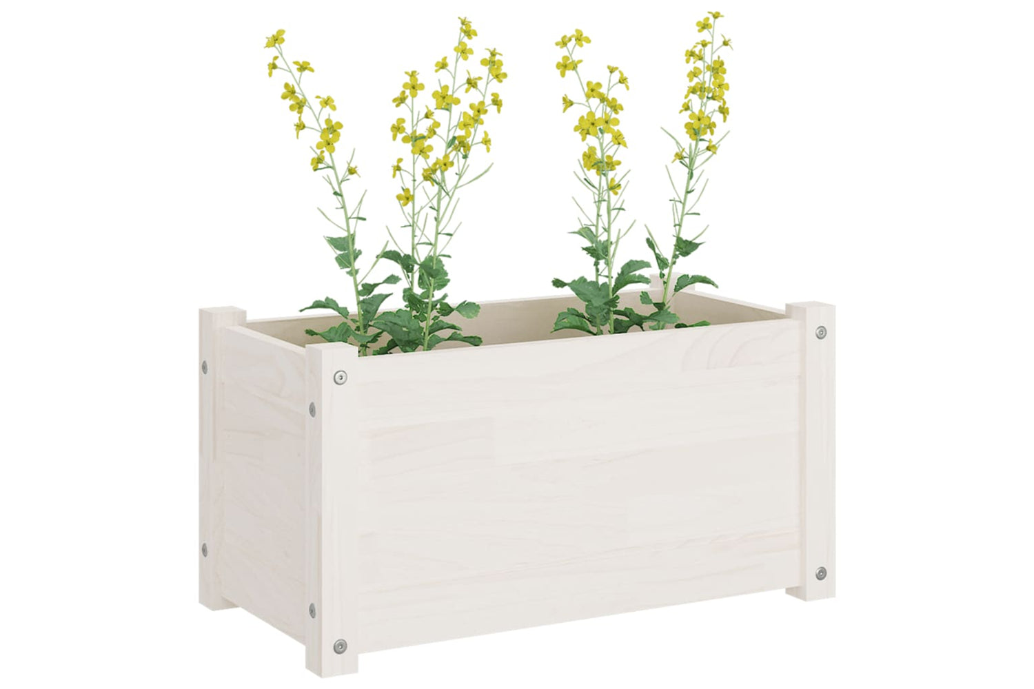 vidaXL 810707 Garden Planters 2 Pcs White 60x31x31cm Solid Pinewood-7