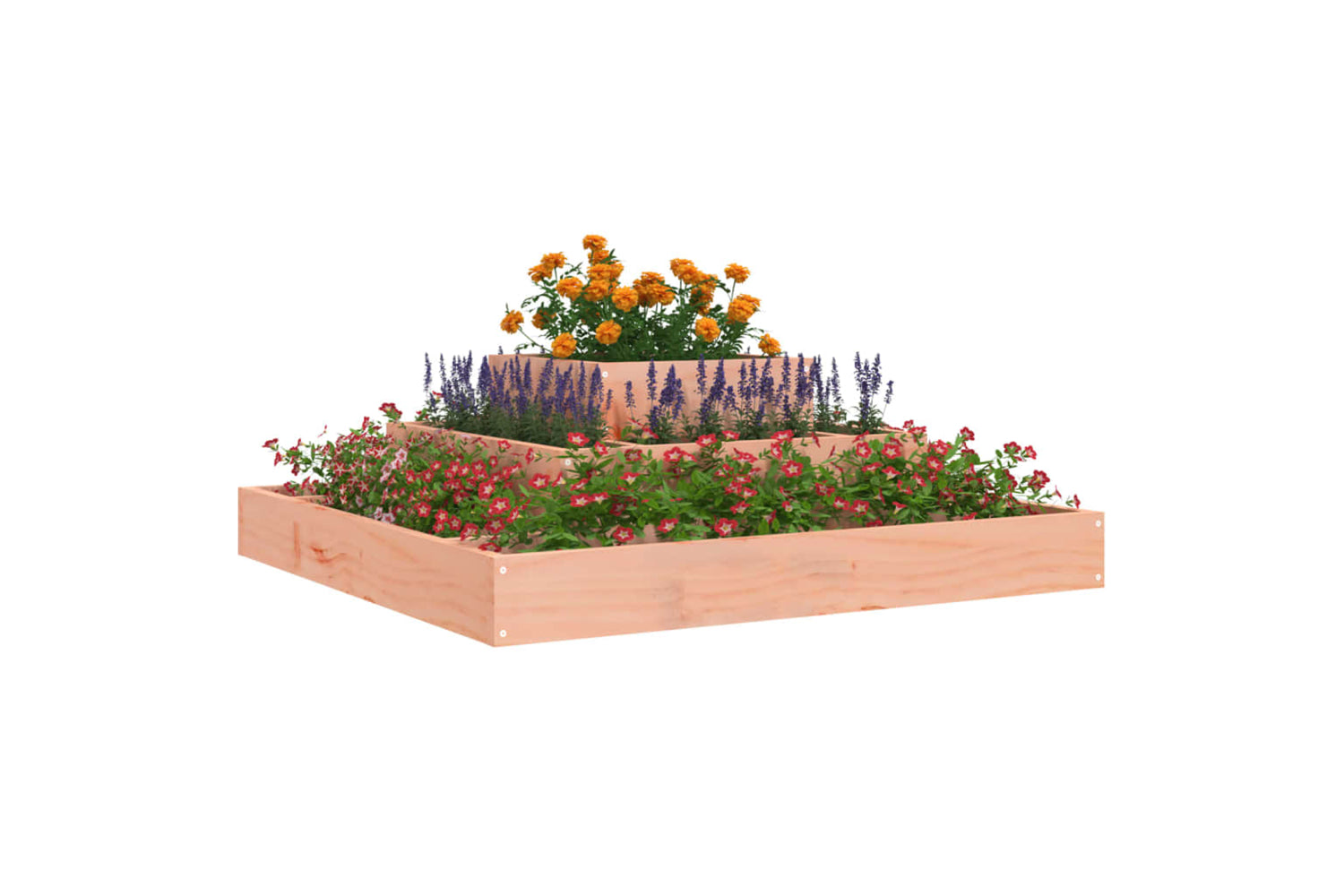vidaXL 823869 Planter 80x80x27cm Solid Wood Douglas-2