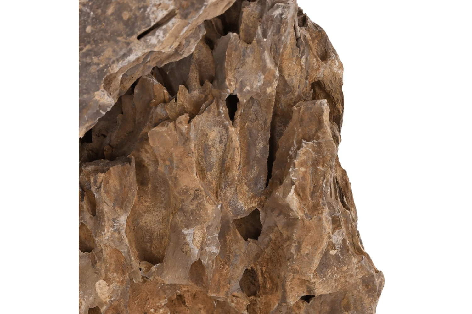 vidaXL 155307 Dragon Stones 10 Kg Mixed Colour 10-30cm-4