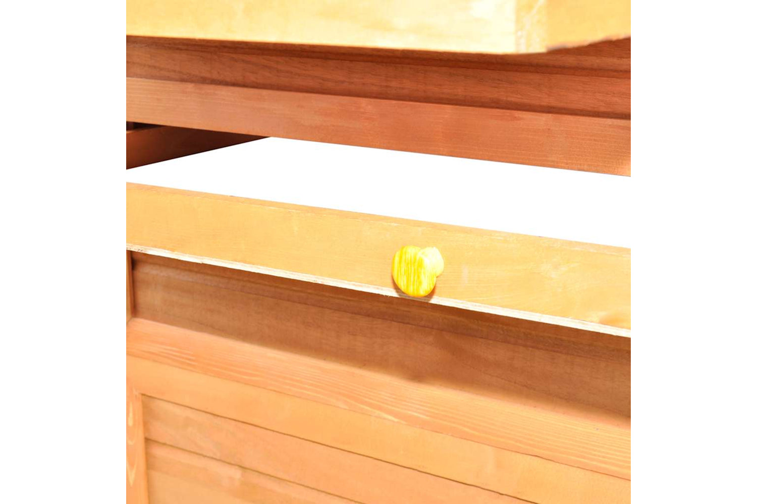 vidaXL 170411 Chicken Coop Wood 295x163x170cm-5