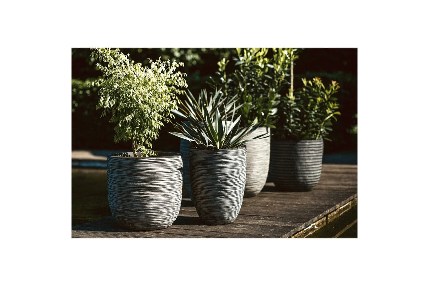 Capi 424230 Vase Nature Rib Elegant Low 46x58 Cm Anthracite Kofz783-6
