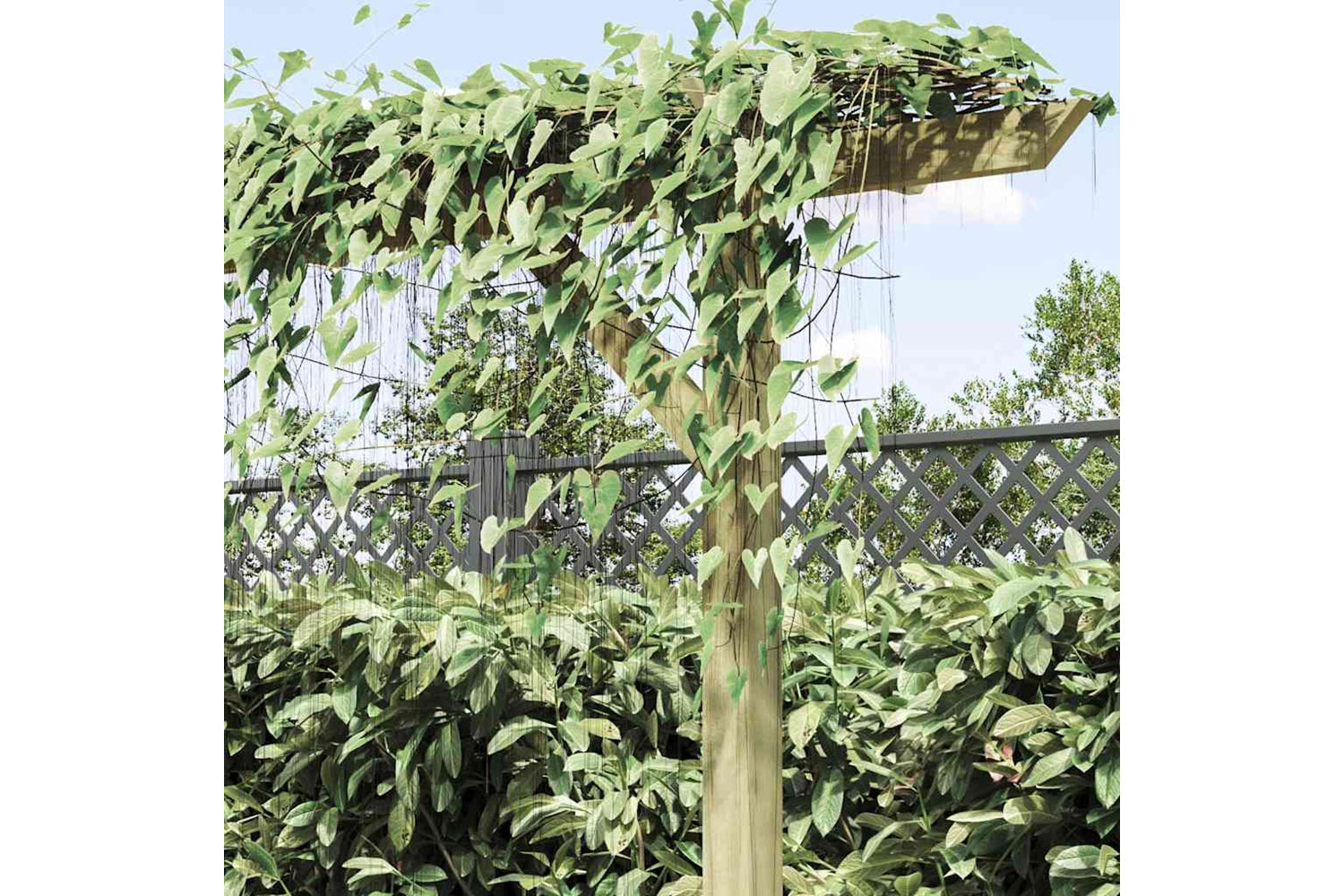 Vidaxl Garden Pergola 205x40x203 Cm Wood-3