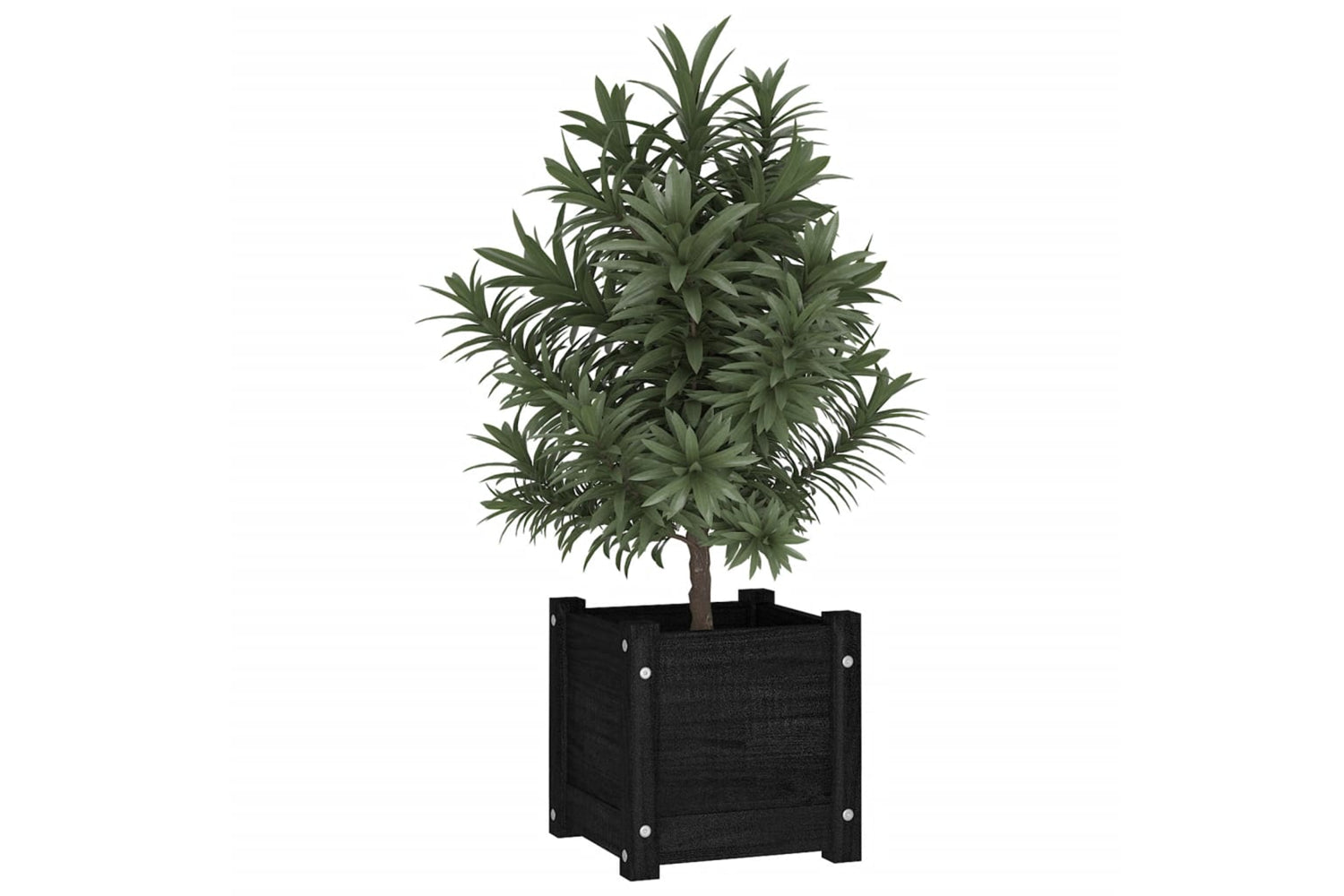 vidaXL 810531 Garden Planters 2 Pcs Black 31x31x31cm Solid Pinewood-2