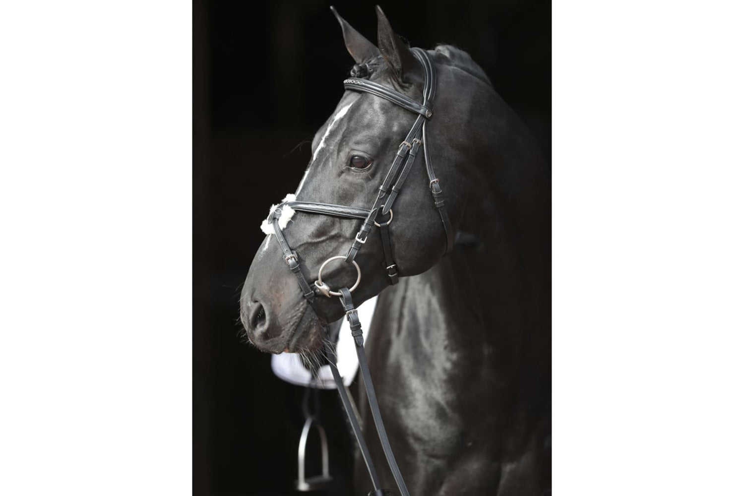 Covalliero Bridle Cancun Pony Black-4