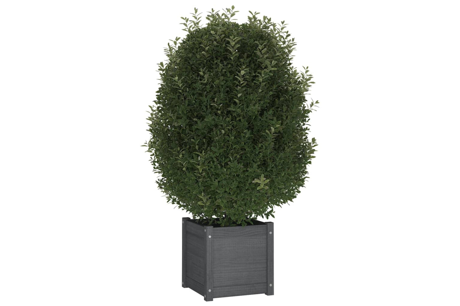 vidaXL 810538 Garden Planter Grey 40x40x40cm Solid Pinewood-2
