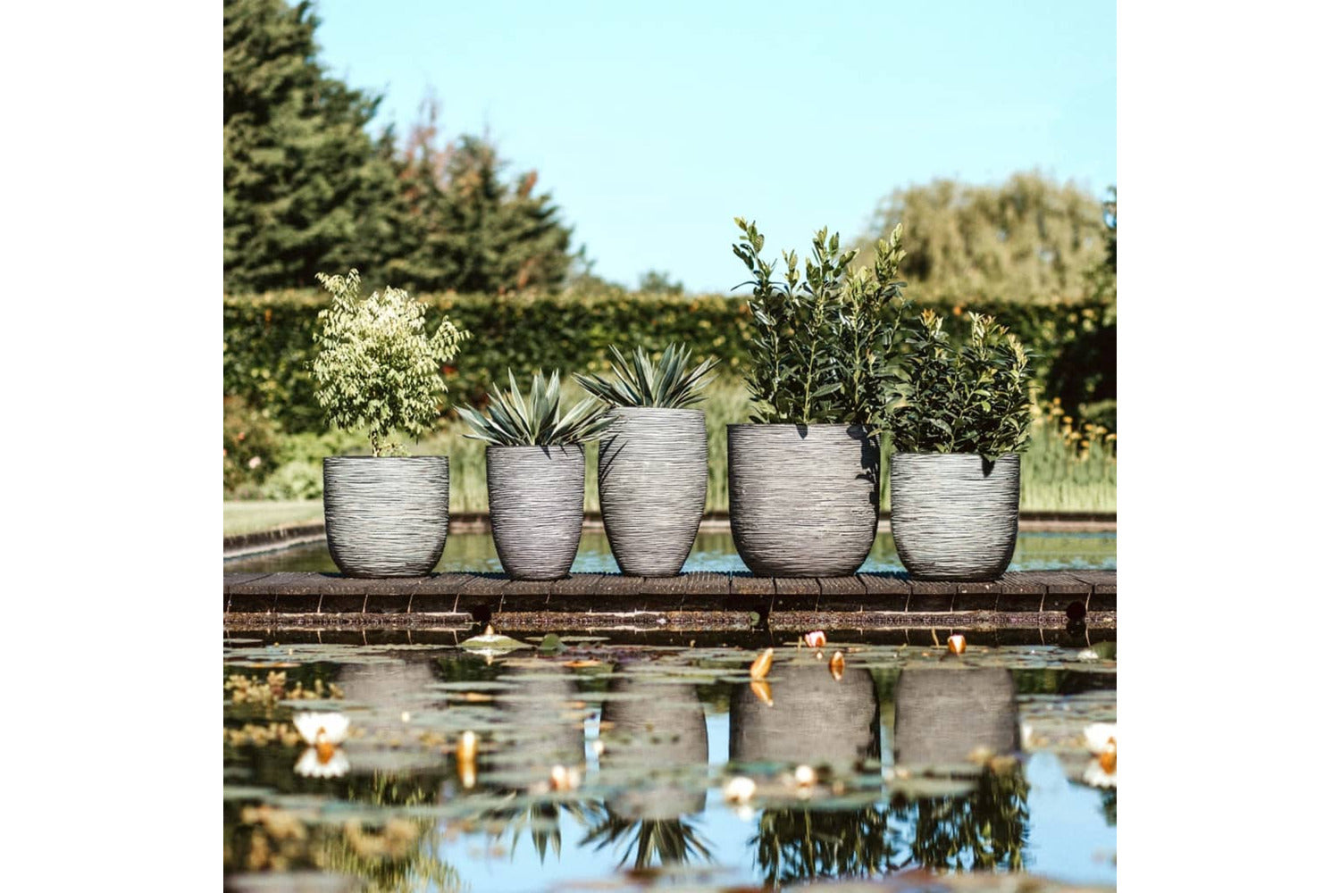 Capi 424230 Vase Nature Rib Elegant Low 46x58 Cm Anthracite Kofz783-7