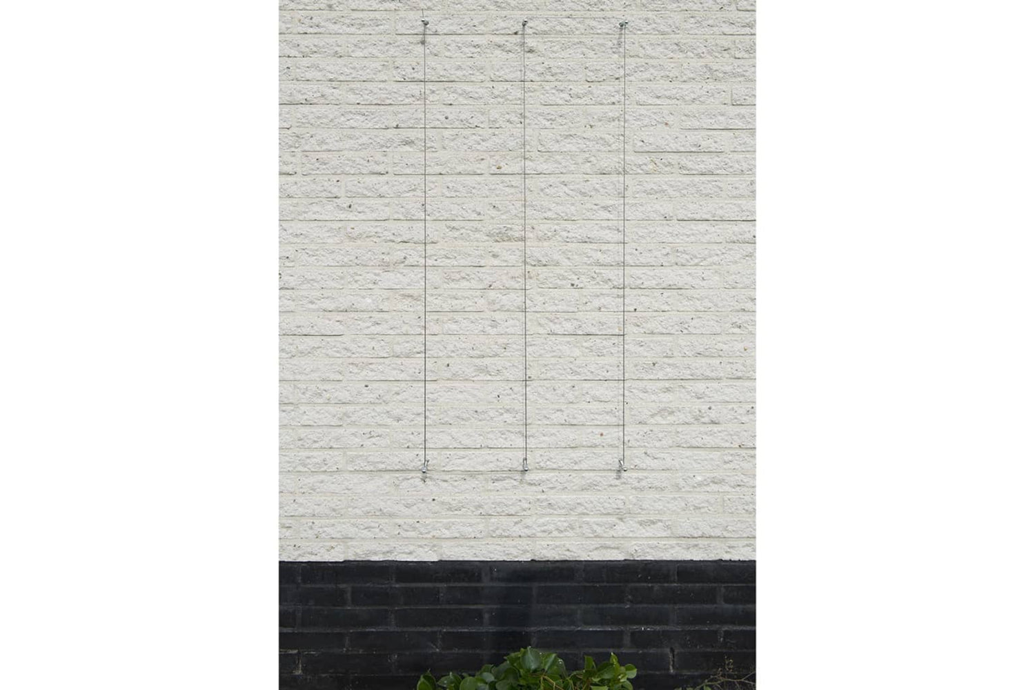 Nature 276220 Wire Trellis Sets For Climbing Plants 2 Pcs-3