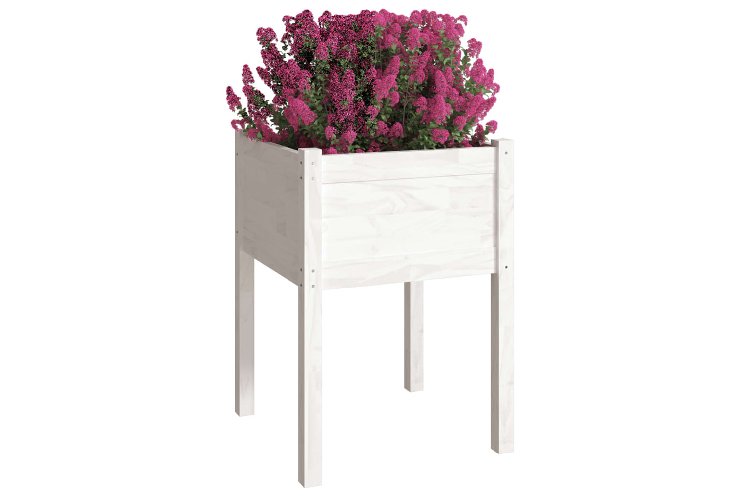 vidaXL 810802 Garden Planters 2 Pcs White 50x50x70cm Solid Pinewood-2
