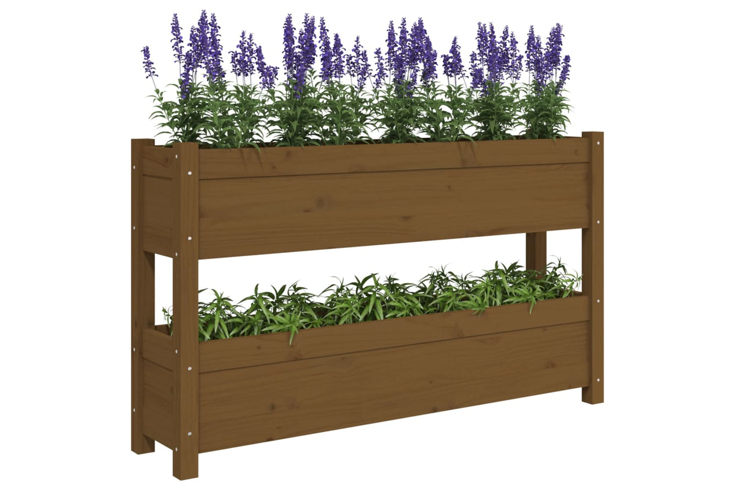 vidaXL 823930 Planter Honey Brown 112x25x66cm Solid Wood Pine-3