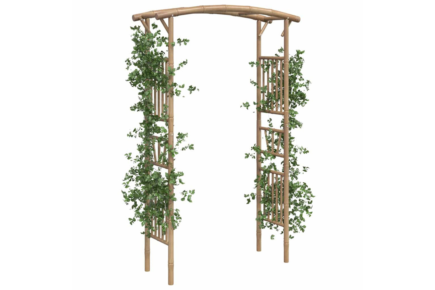 vidaXL 341746 Rose Arch Bamboo 118x40x187cm-2