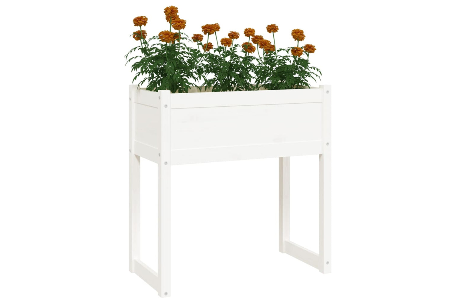 vidaXL 822133 Planter White 78x40x81cm Solid Wood Pine-3