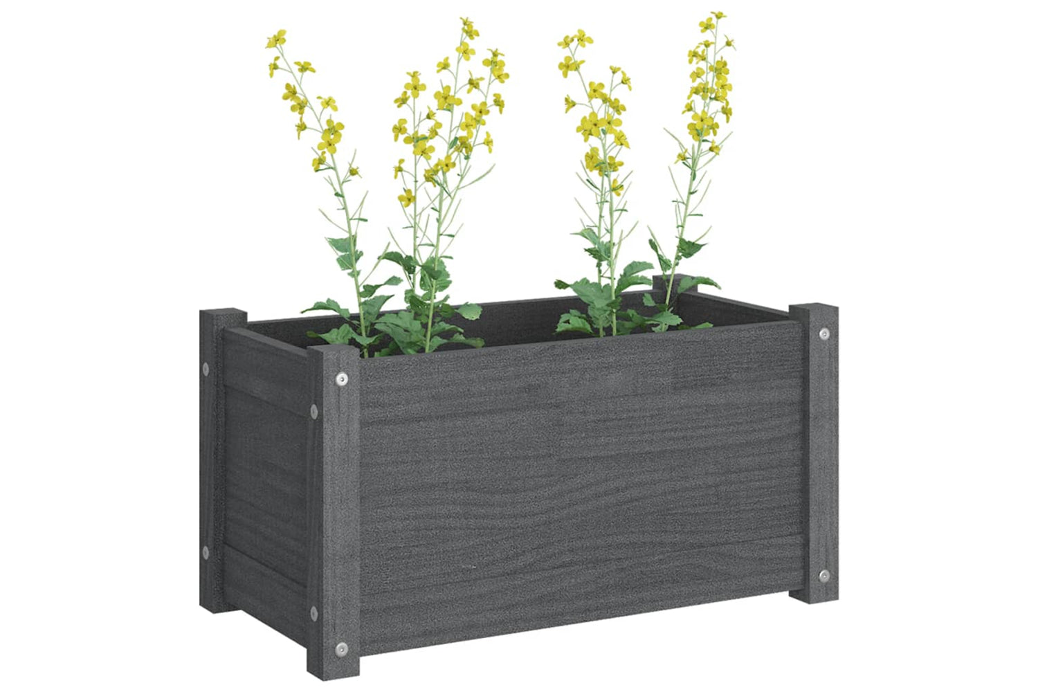 vidaXL 810708 Garden Planter Grey 60x31x31cm Solid Pinewood-6