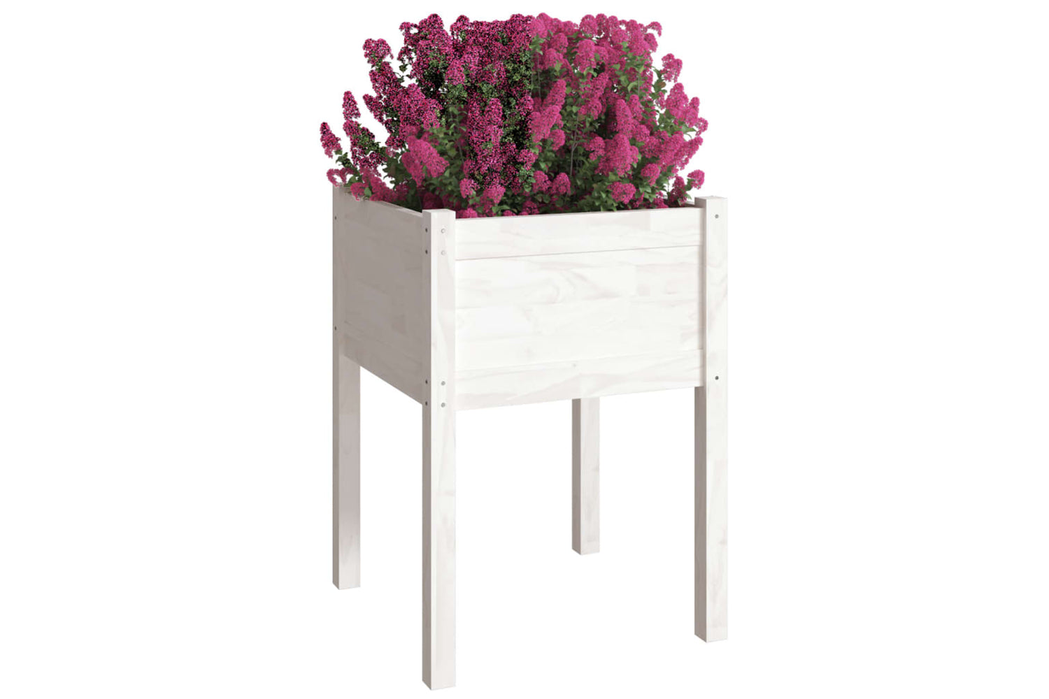 vidaXL 810801 Garden Planter White 50x50x70cm Solid Pinewood-2
