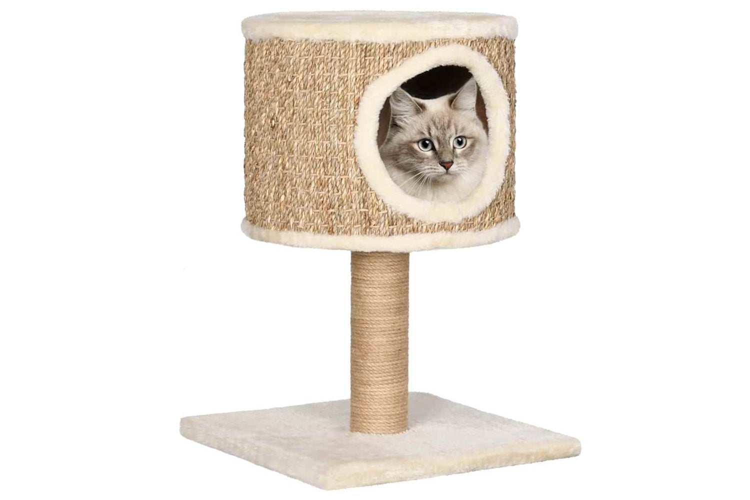 Vidaxl Cat Tree With Condo And Scratching Post 52 Cm Seagrass
