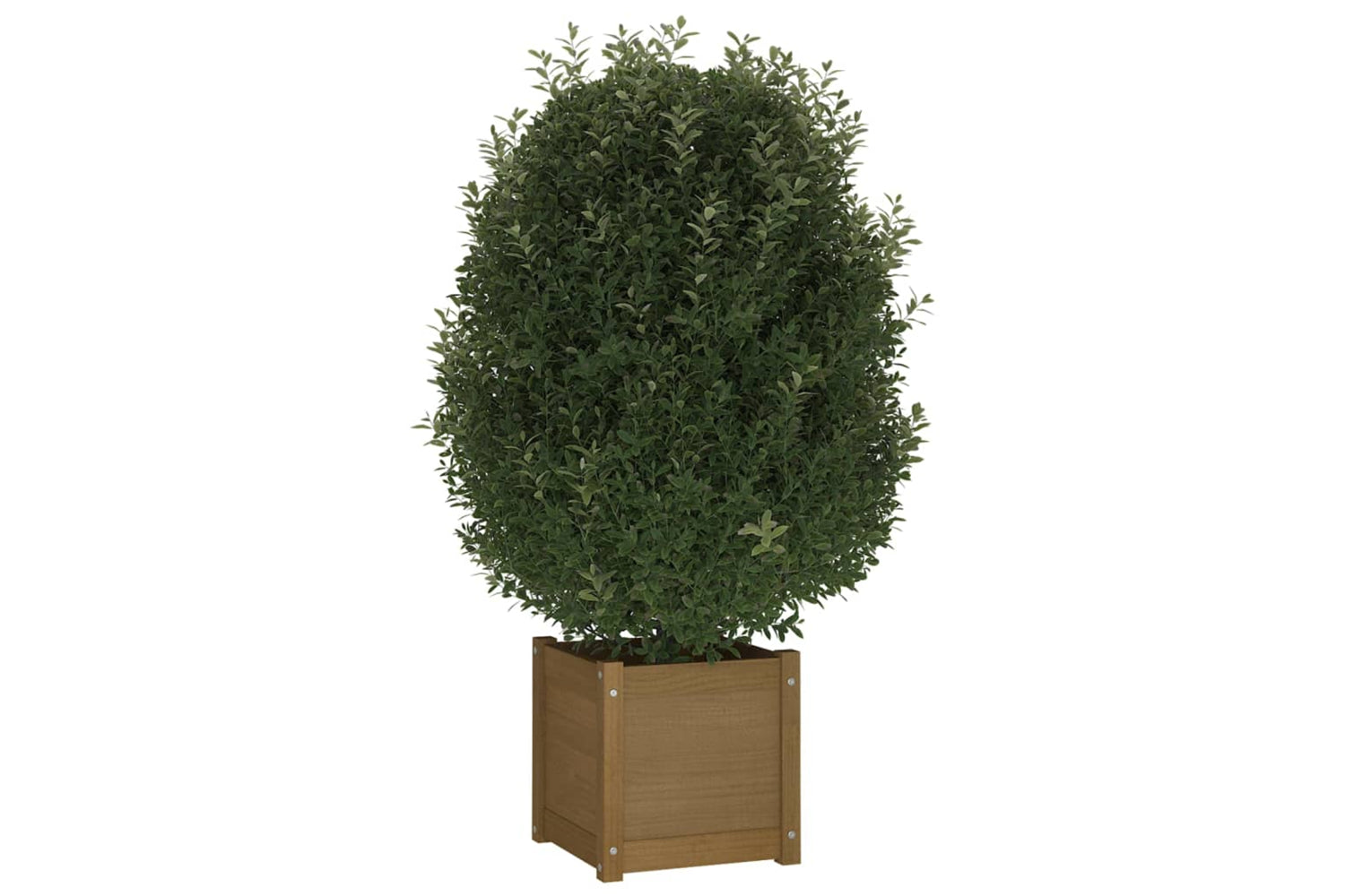 vidaXL 810541 Garden Planters 2 Pcs Honey Brown 40x40x40cm Solid Pinewood-2