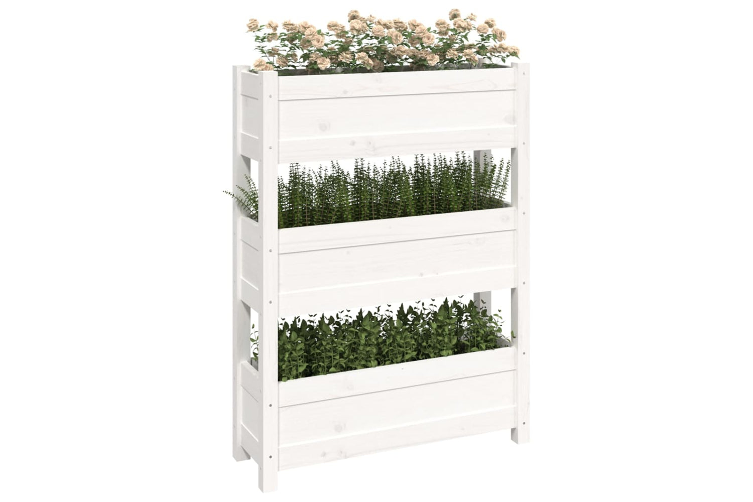 vidaXL 823935 Planter White 77x25x104.5cm Solid Wood Pine-3