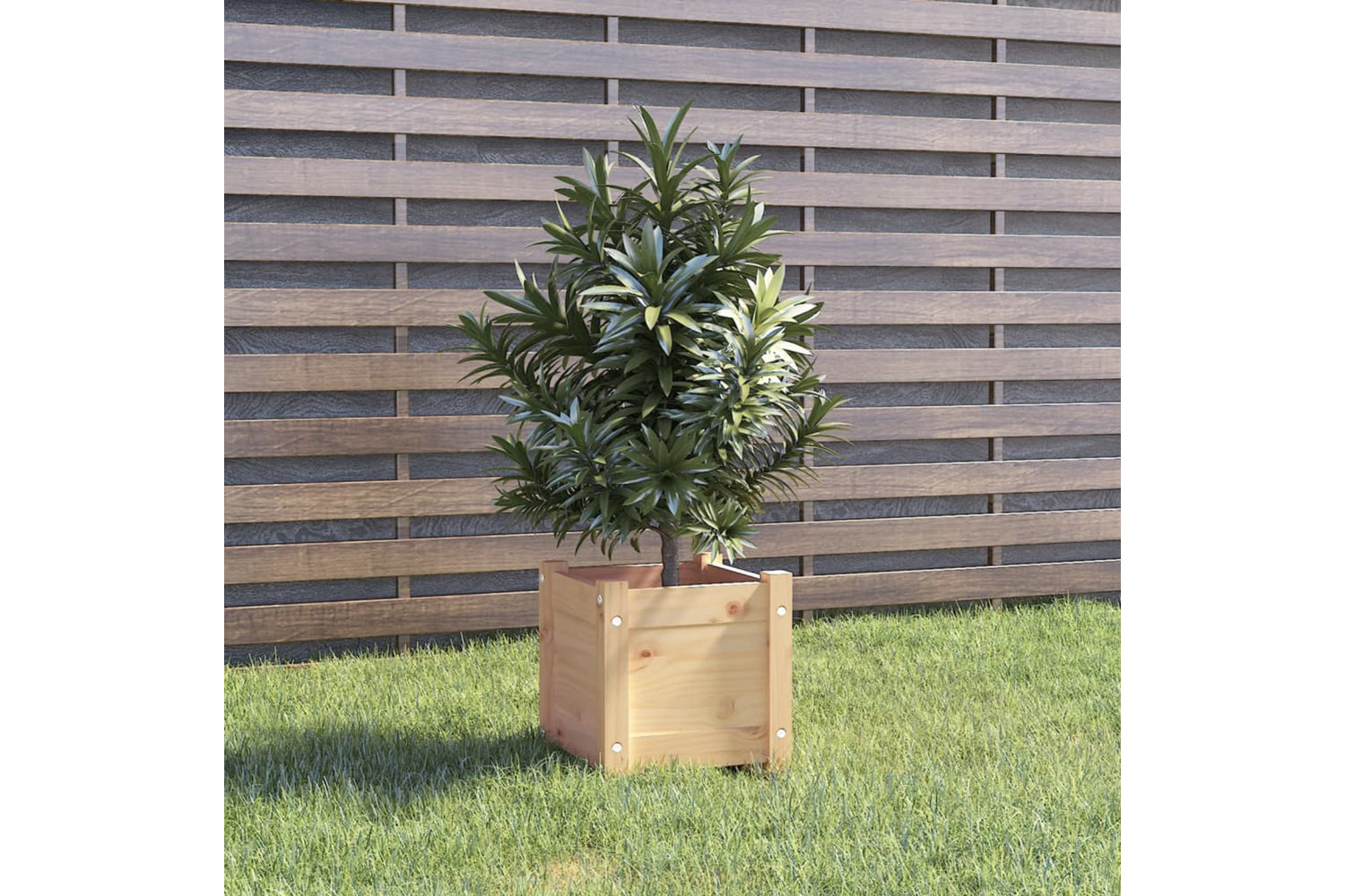 vidaXL 810523 Garden Planters 2 Pcs 31x31x31cm Solid Pinewood-2