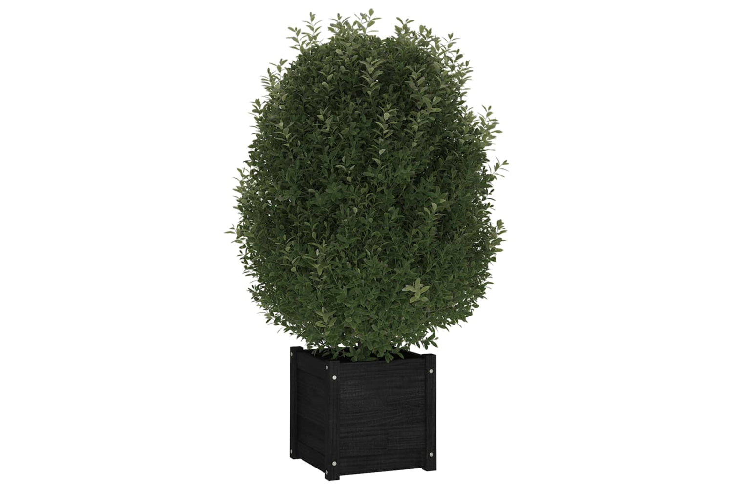 vidaXL 810543 Garden Planters 2 Pcs Black 40x40x40cm Solid Pinewood-2
