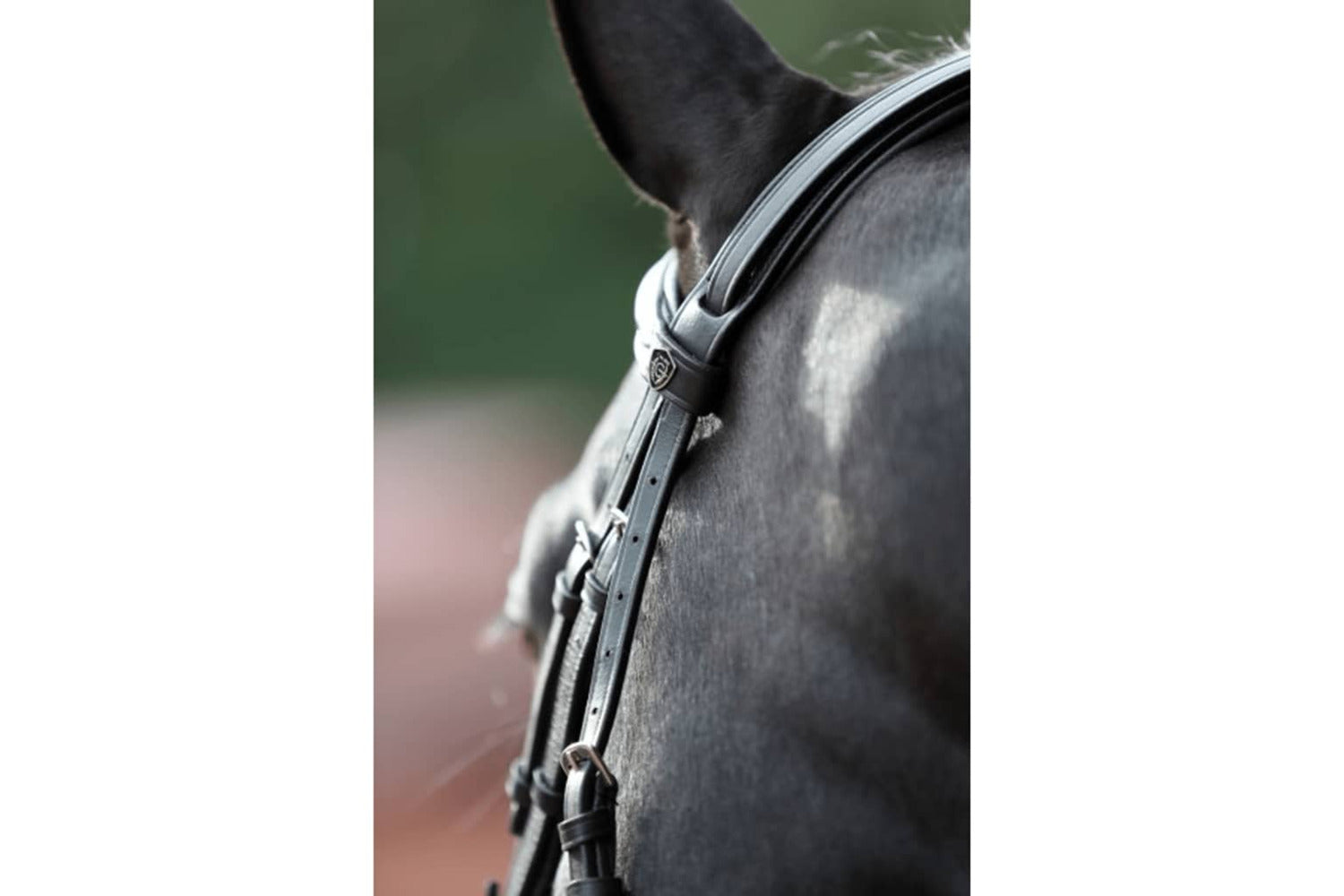 Covalliero Bridle Cancun Pony Black-8