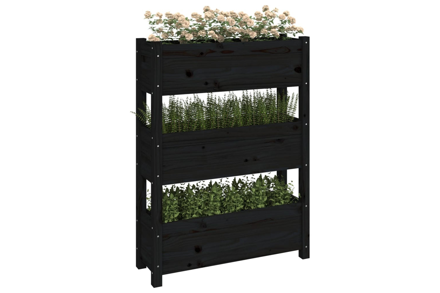vidaXL 823938 Planter Black 77x25x104.5cm Solid Wood Pine-3