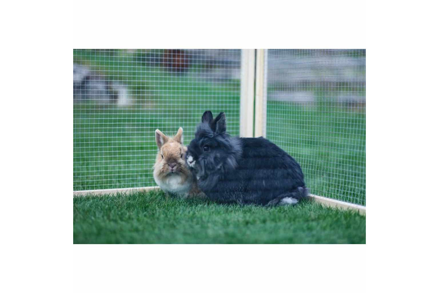 Kerbl 415657 Outdoor Pet Enclosure Vario Wood Brown 84399-2