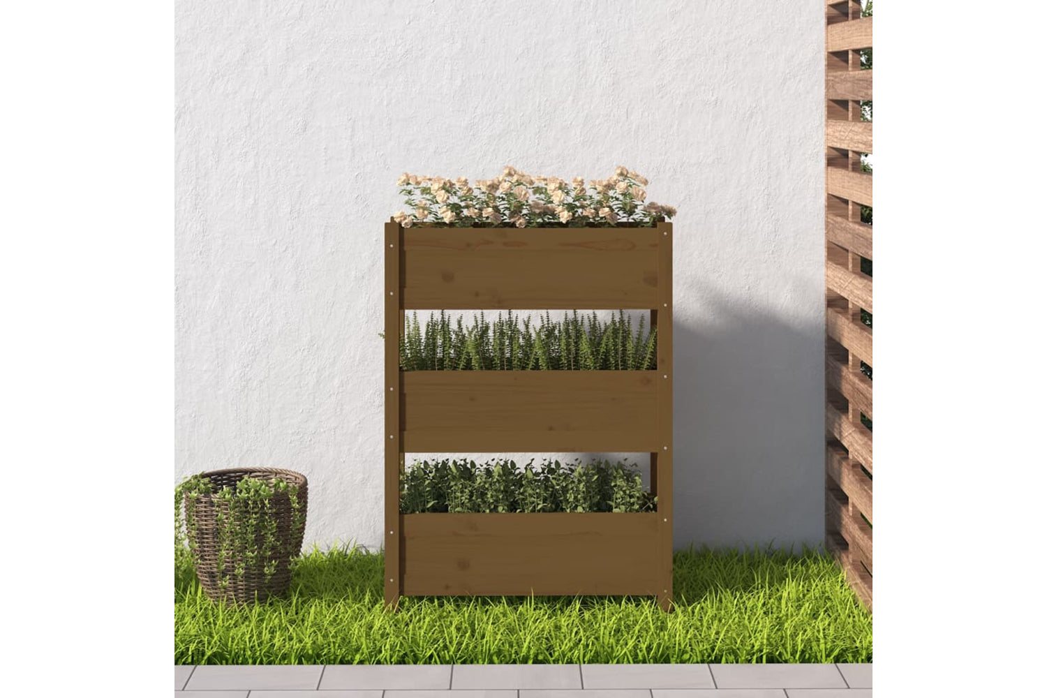 vidaXL 823937 Planter Honey Brown 77x25x104.5cm Solid Wood Pine-2