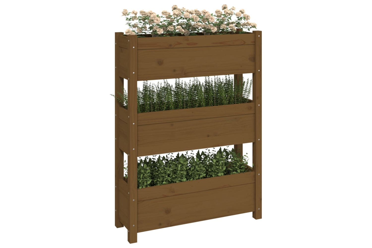 vidaXL 823937 Planter Honey Brown 77x25x104.5cm Solid Wood Pine-3