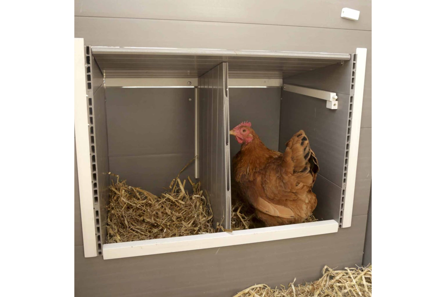Kerbl 423474 Eco Chicken Pen Barney Plastic 137x73x83 Cm Grey And White-6