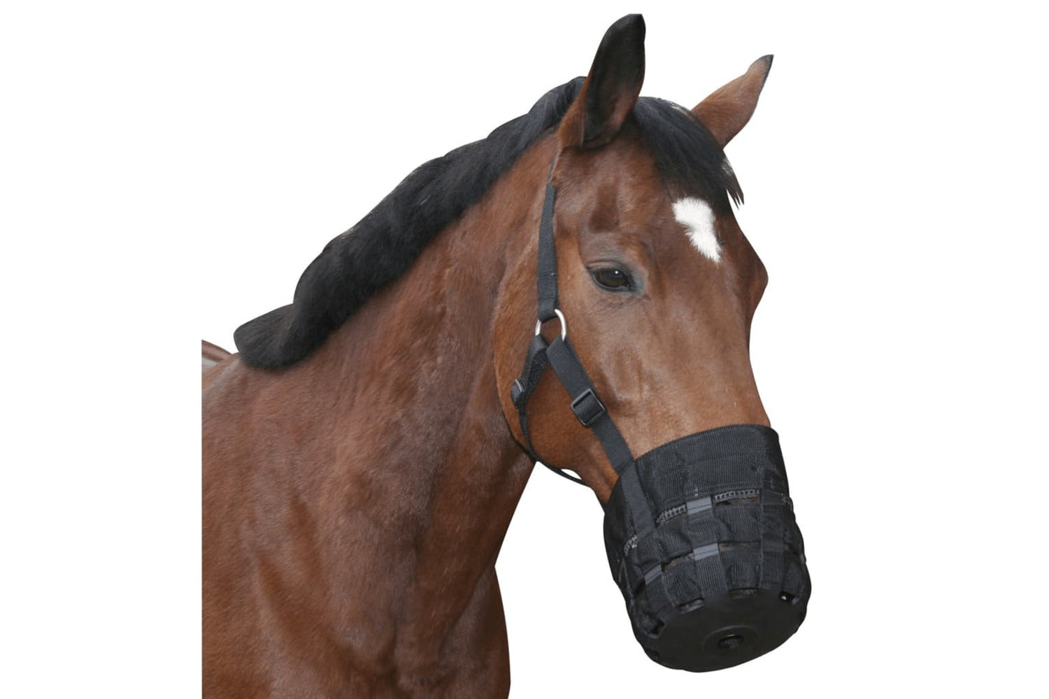 Covalliero Horse Muzzle Pony Black-3