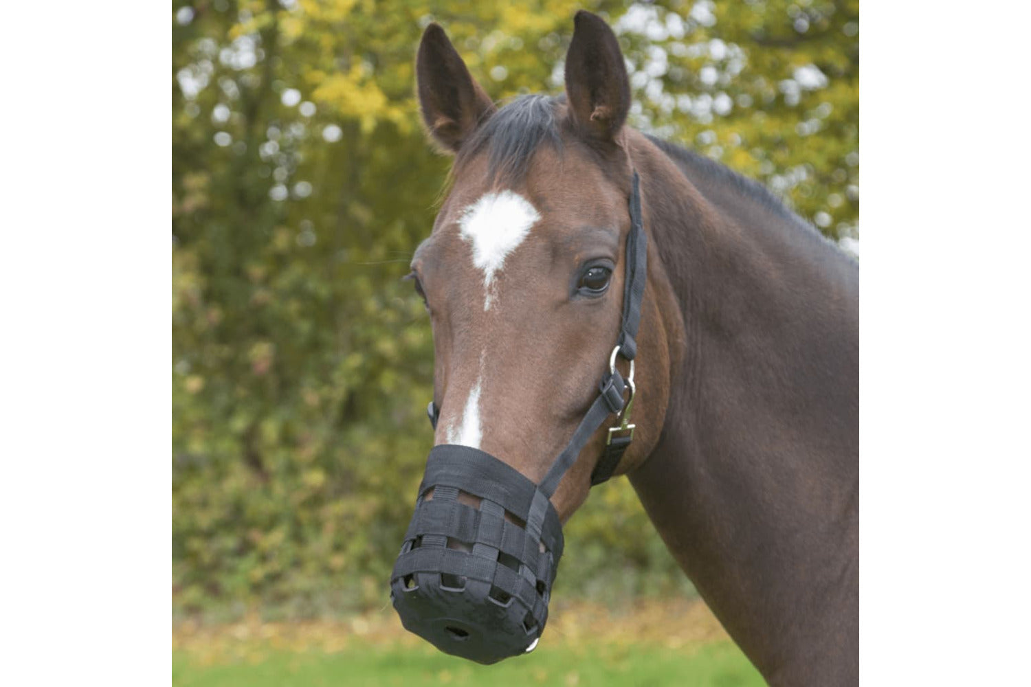 Covalliero Horse Muzzle Pony Black-4