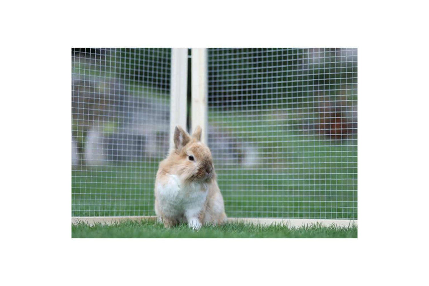Kerbl 415657 Outdoor Pet Enclosure Vario Wood Brown 84399-3