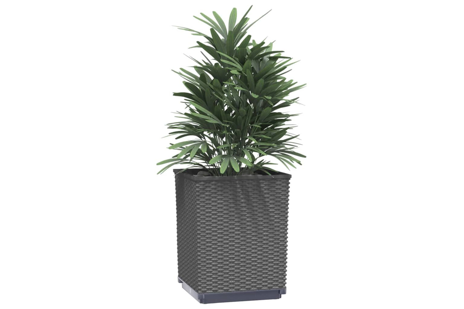 vidaXL 364182 Planters 2 Pcs Black 30x30x37cm Polypropylene-2