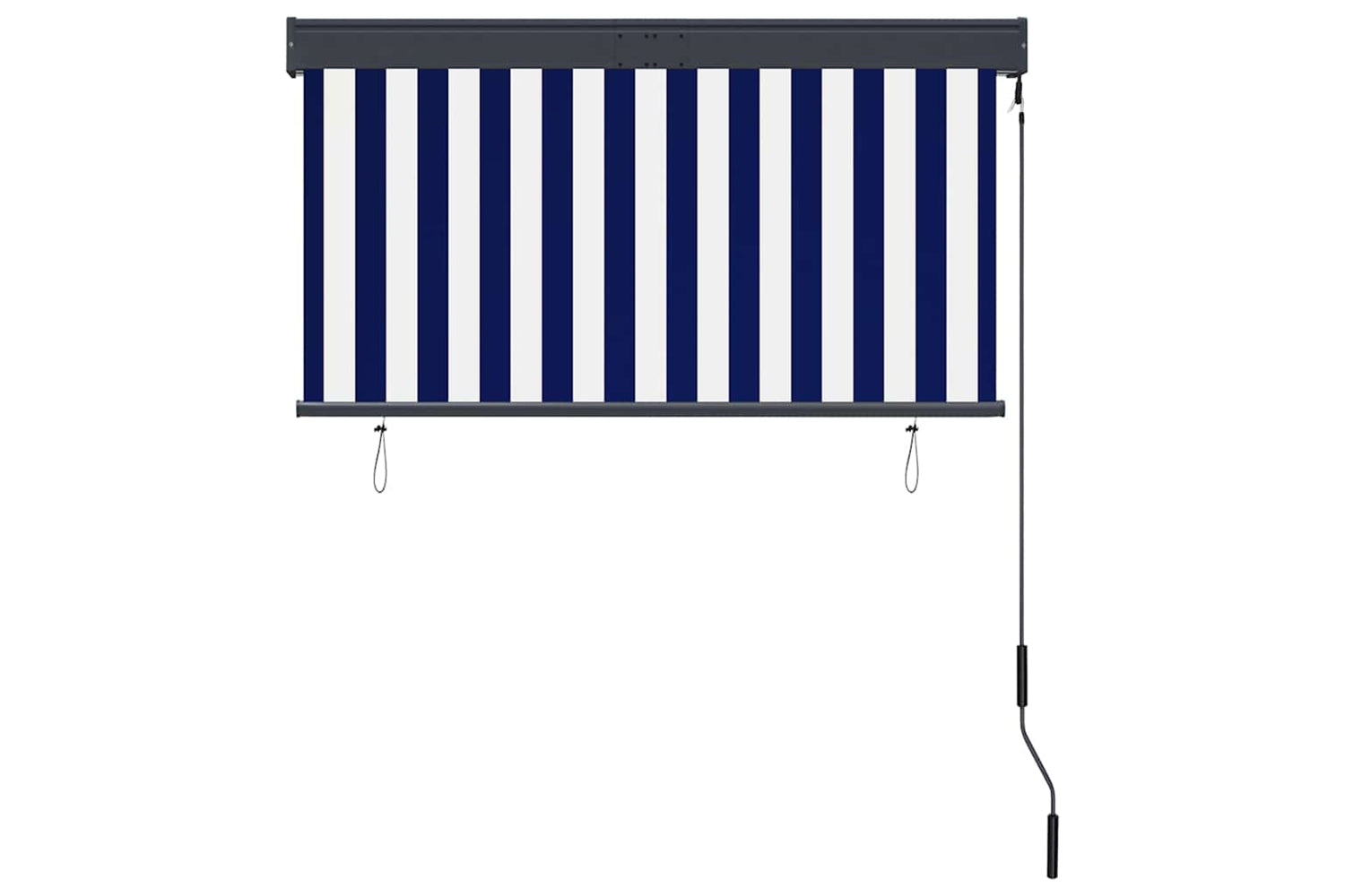 vidaXL 145961 Outdoor Roller Blind 120x250cm Blue And White-4