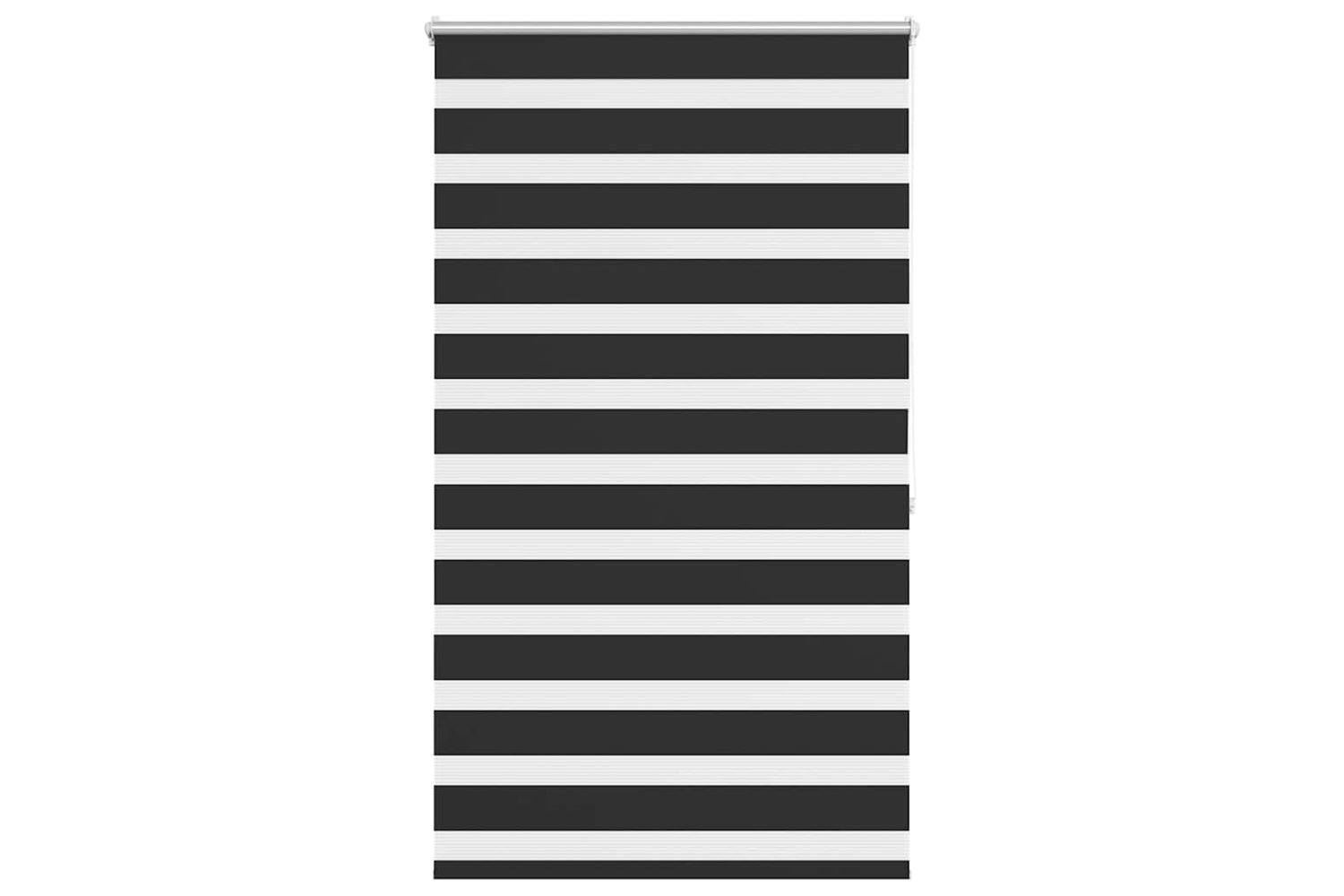 vidaXL 240212 Zebra Blind 100 X 175cm Black