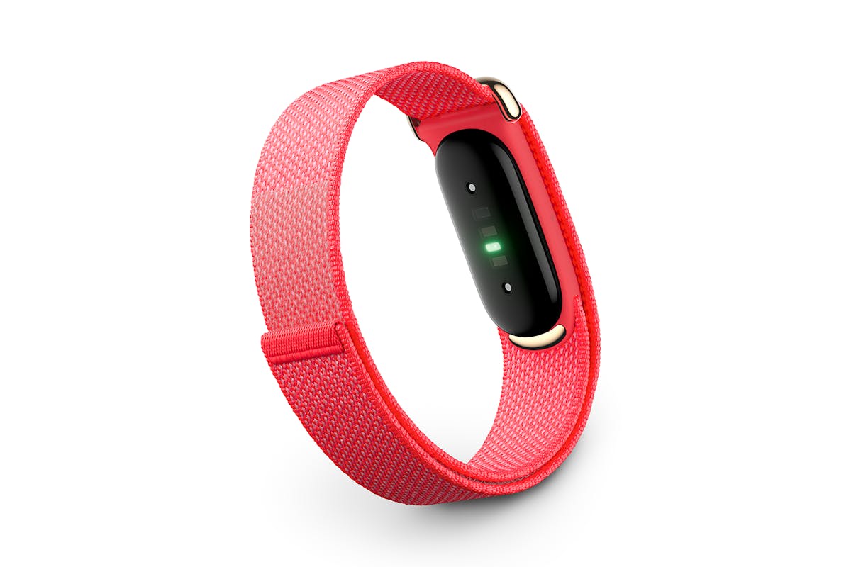 Google Fitbit Air | Berry/Champagne Gold