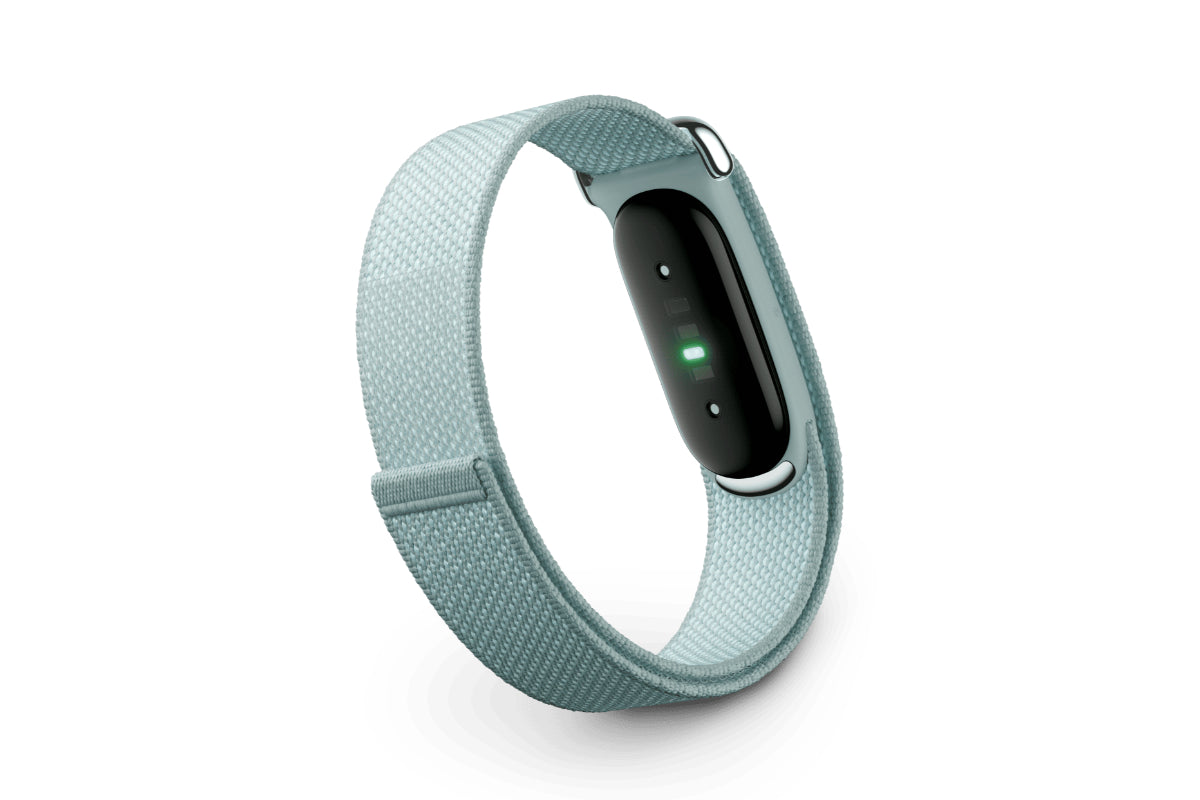 Google Fitbit Air | Fog/Polished Silver