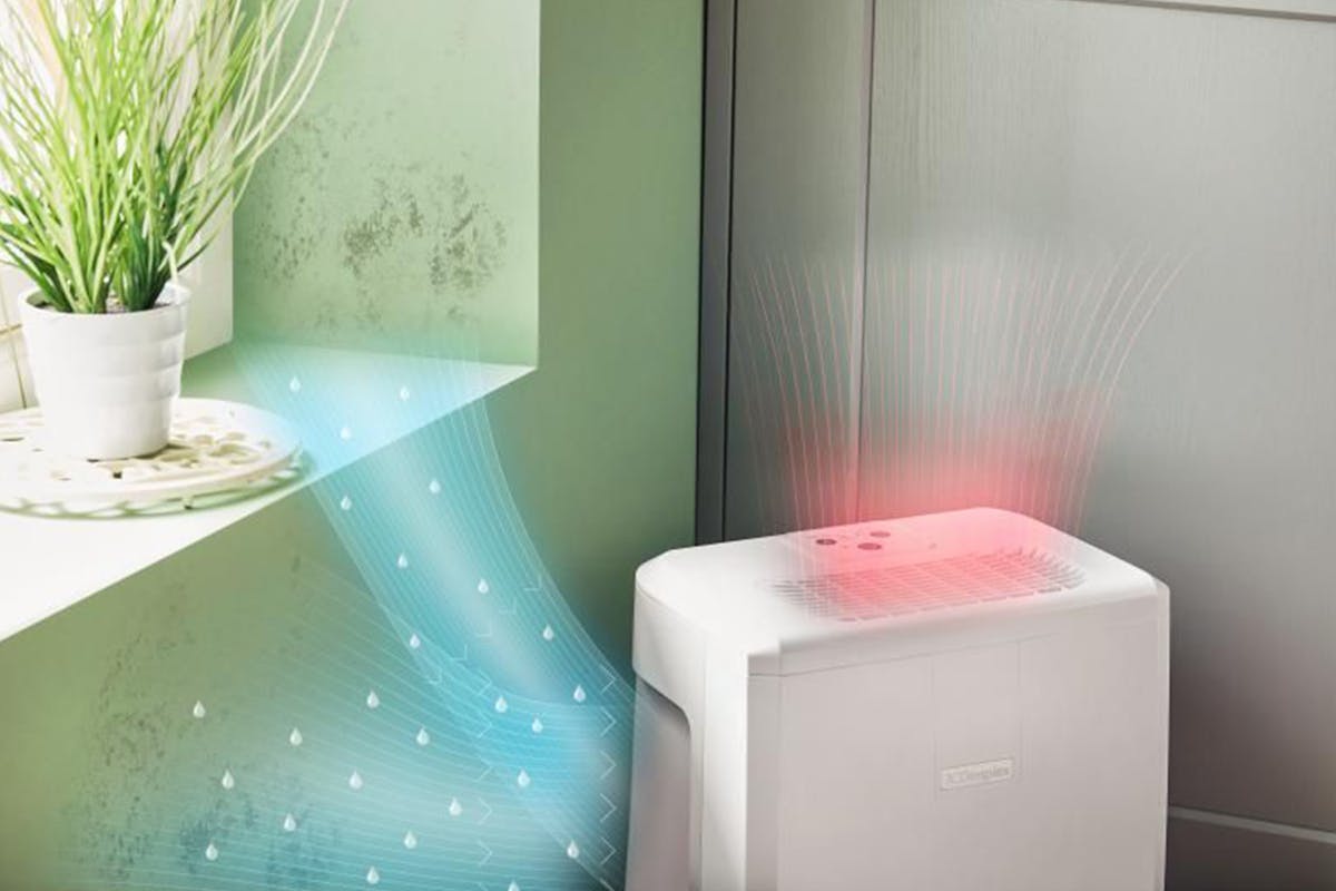 Dimplex 10L Dehumidifier | EVERDRI10E | White/Light Grey-17