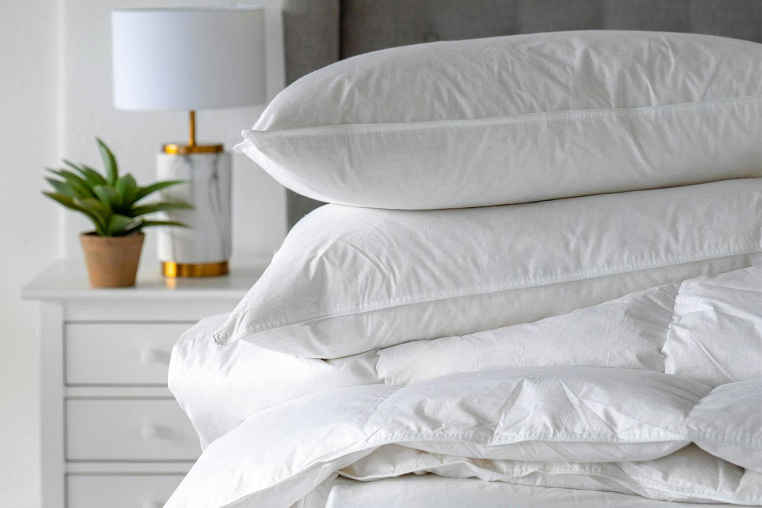 The Linen Room | Goose Feather & Down Pillow | Twin Pack-2