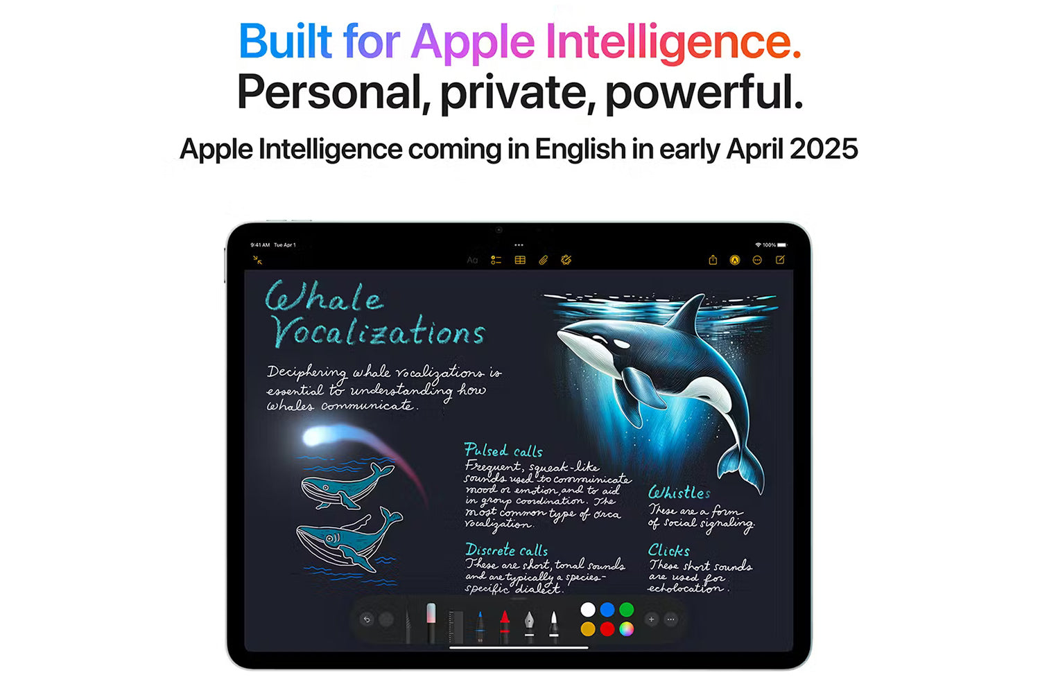 11" iPad Air M3 Chip Cellular | 256GB | Purple 2025-6