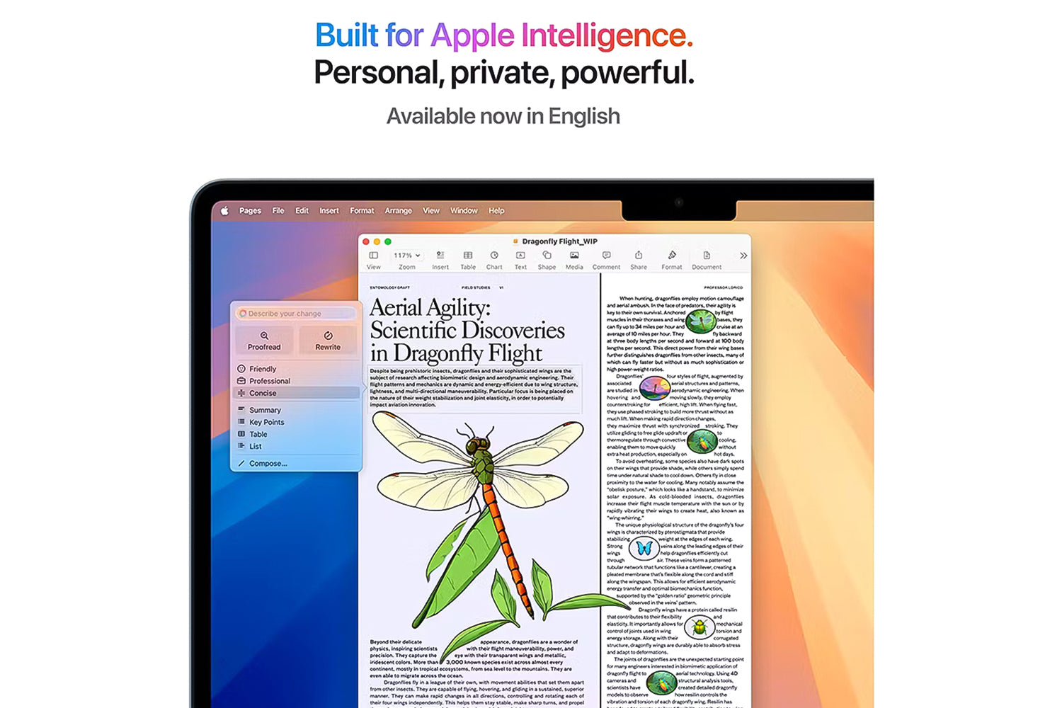 MacBook Air 13.6" | M4 | 10-Core CPU | 16GB | 256GB | Midnight (2025)-5