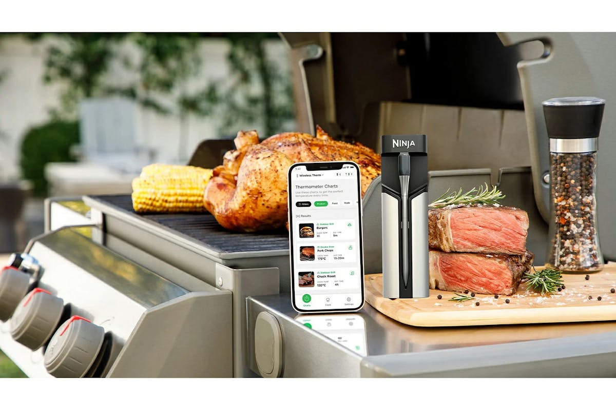 Ninja ProChef Wireless Thermometer | WP100EU-2