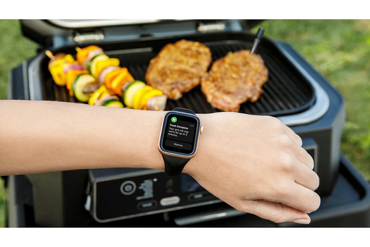 Ninja ProChef Wireless Thermometer | WP100EU-5