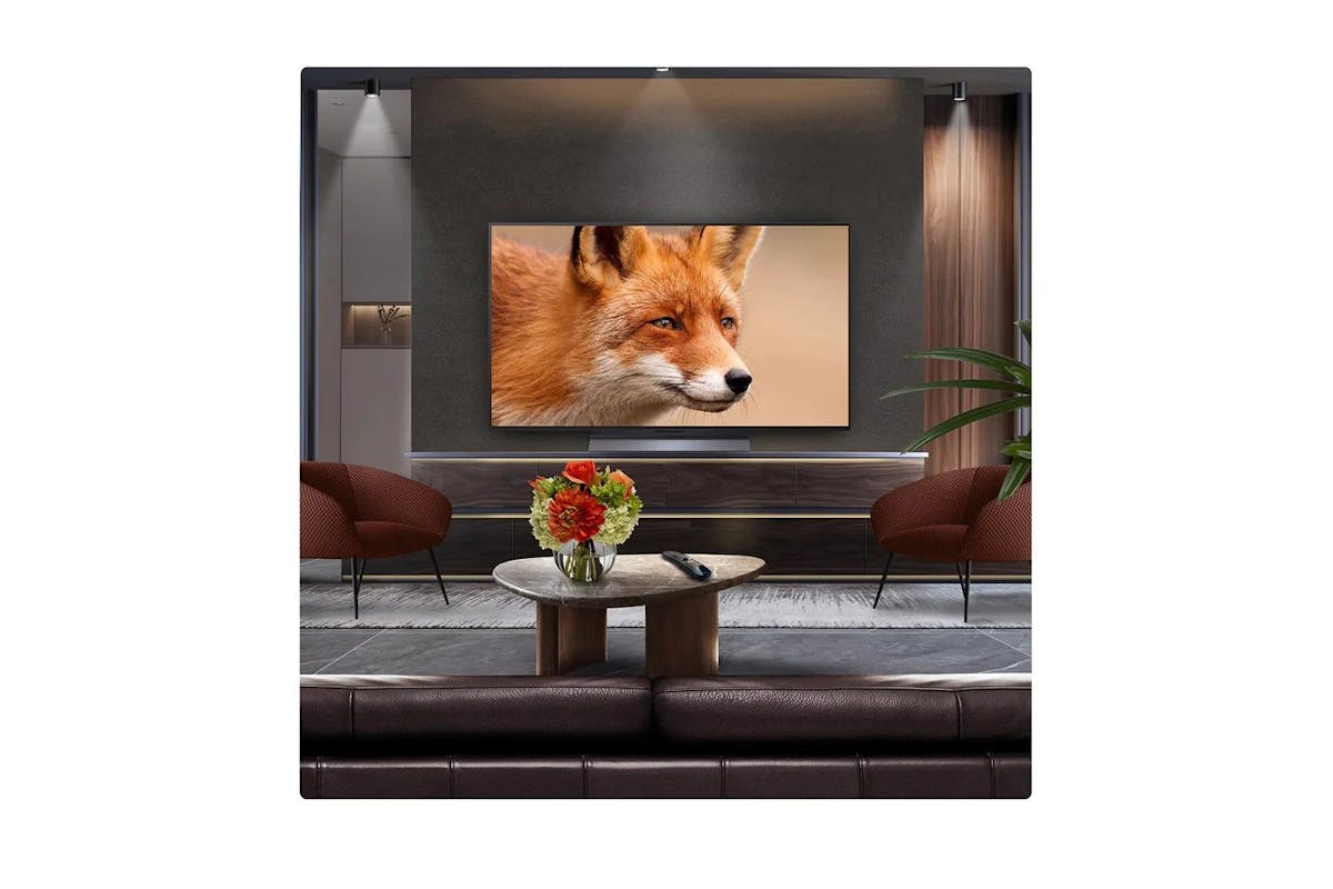 LG 48" OLED Evo AI C54 4K Smart TV | OLED48C54LA.AEK-4
